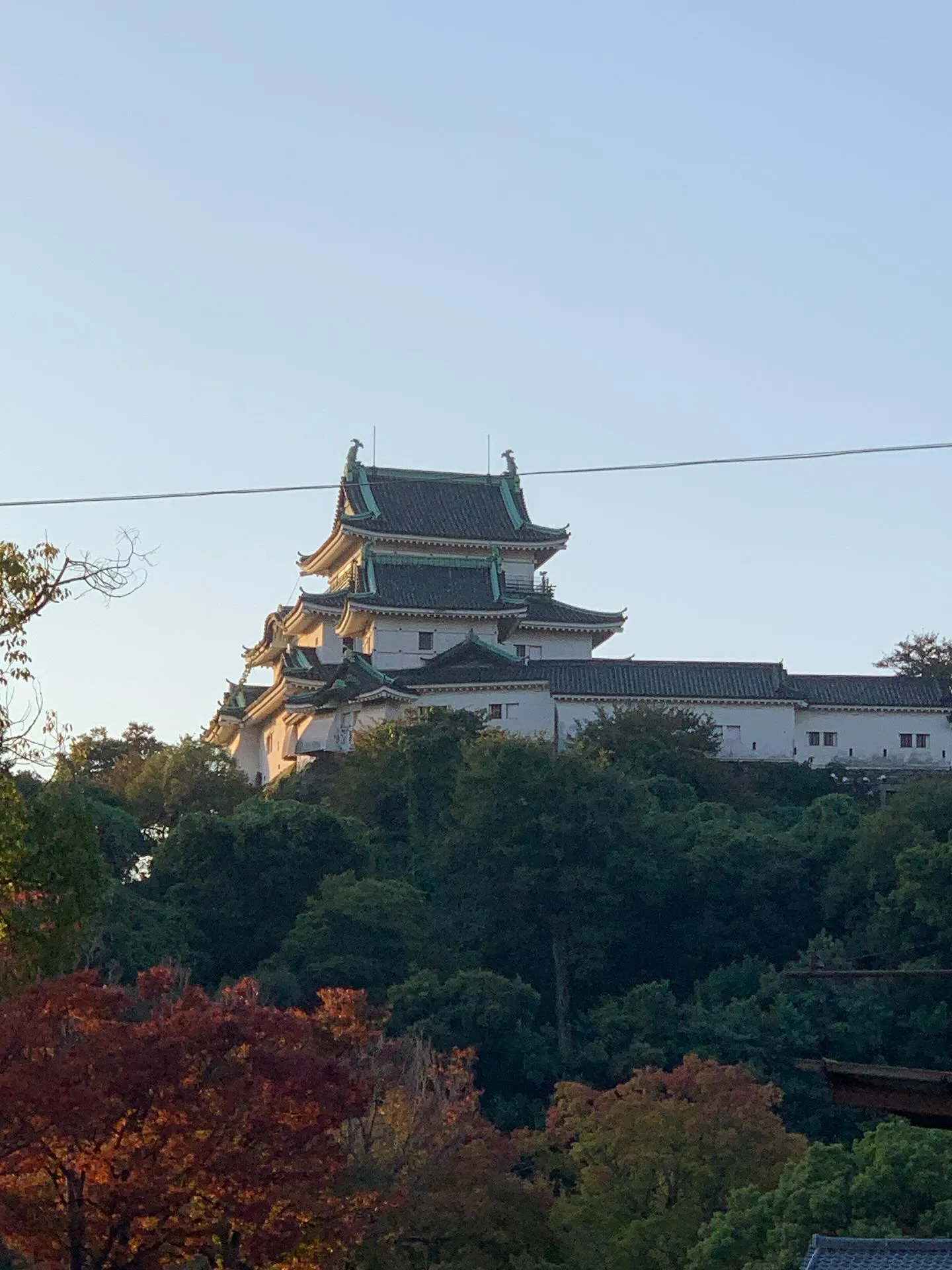 🏍️🌅 早朝のバイクライド、最高ですね！今日は和歌山市役所ま...