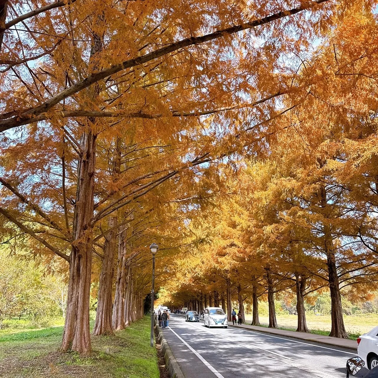 昨日は久々に休日にバイクで冒険に出かけてきました!滋賀のメタ...